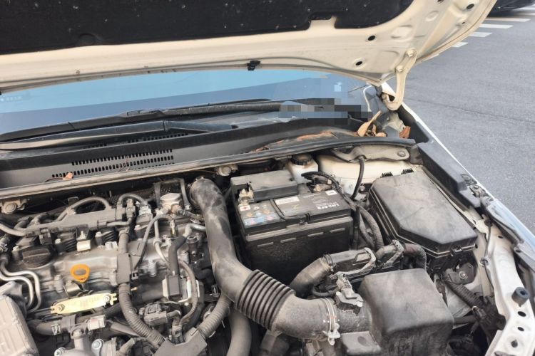 Used Toyota Corolla 2019 1.2T S-CVT GL-i Elite Edition Engine Bay Left