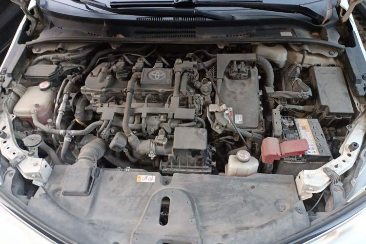 Used Toyota Corolla 2019 Dual-Engine 1.8L E-CVT GL-i Elite Edition Engine Bay