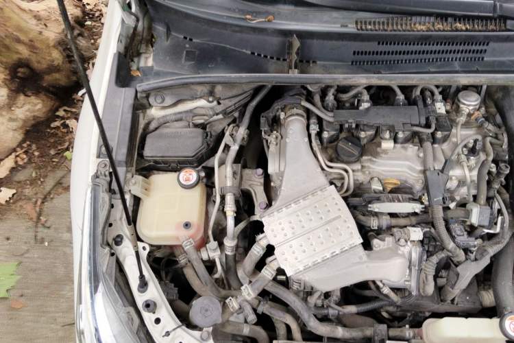 Used Toyota Corolla 2019 1.2T S-CVT GL-i Elite Edition Engine Bay Right