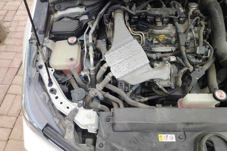 Used Toyota Corolla 2019 1.2T S-CVT GL-i Elite Edition Engine Bay Right