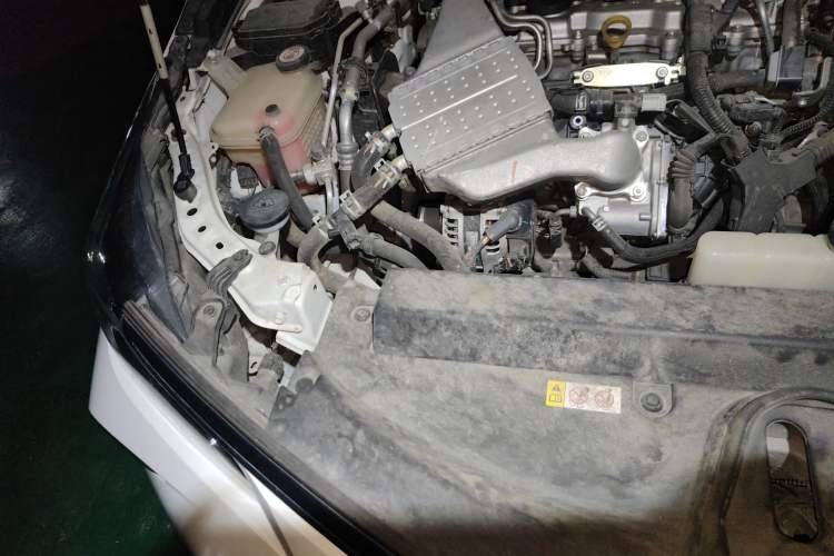 Used Toyota Corolla 2019 1.2T S-CVT GL-i Elite Edition Engine Bay Right