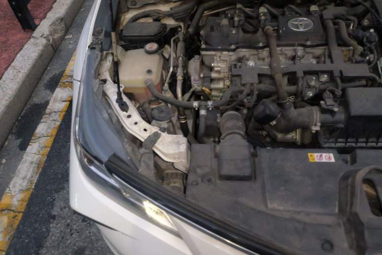 Used Toyota Corolla 2019 Dual-Engine 1.8L E-CVT GL-i Elite Edition Engine Bay Right