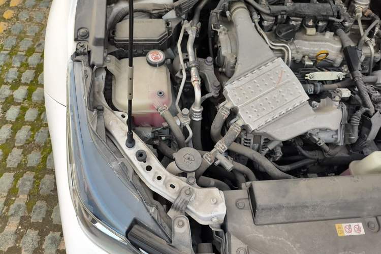 Used Toyota Corolla 2019 1.2T S-CVT GL-i Elite Edition Engine Bay Right