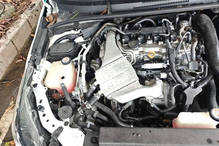 Used Toyota Corolla 2019 1.2T S-CVT GL-i Elite Edition Engine Bay Right