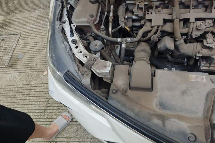 Used Toyota Corolla 2019 Dual-Engine 1.8L E-CVT GL-i Pioneer Edition Engine Bay Right