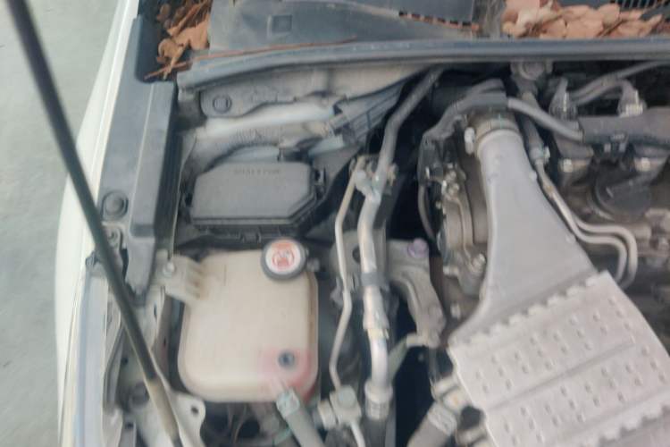 Used Toyota Corolla 2019 1.2T S-CVT GL-i Elite Edition Engine Bay Right