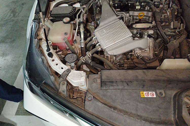 Used Toyota Corolla 2019 1.2T S-CVT GL Pioneer Edition Engine Bay Right