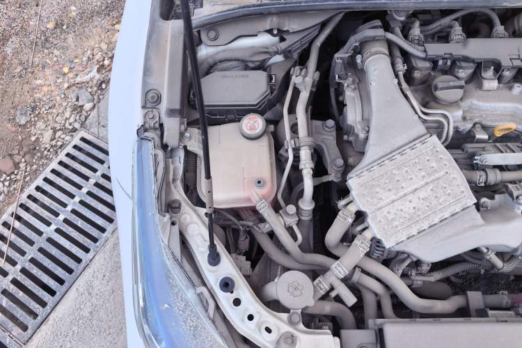 Used Toyota Corolla 2019 1.2T S-CVT GL-i Elite Edition Engine Bay Right
