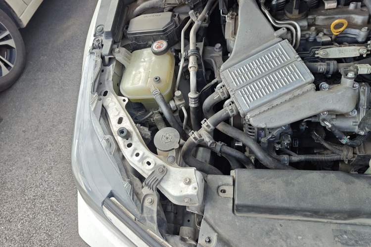 Used Toyota Corolla 2019 1.2T S-CVT GL-i Elite Edition Engine Bay Right