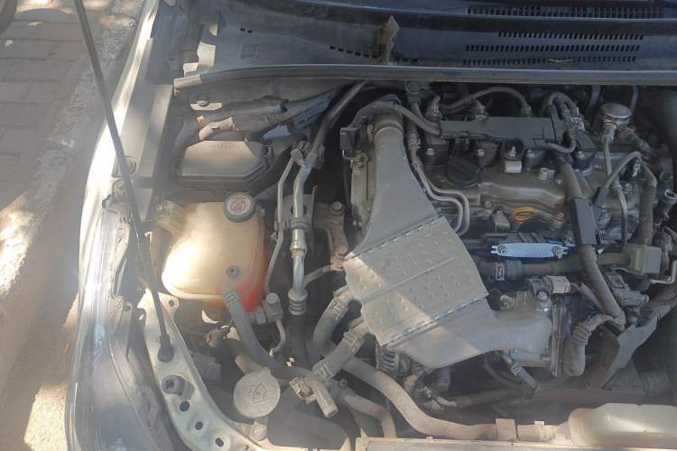 Used Toyota Corolla 2019 1.2T S-CVT GL-i Luxury Edition Engine Bay Right