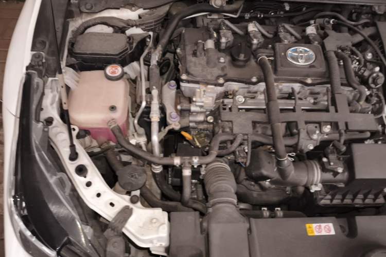 Used Toyota Corolla 2019 Dual-Engine 1.8L E-CVT GL-i Elite Edition Engine Bay Right
