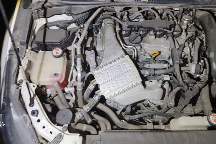 Used Toyota Corolla 2019 1.2T S-CVT GL-i Luxury Edition Engine Bay Right