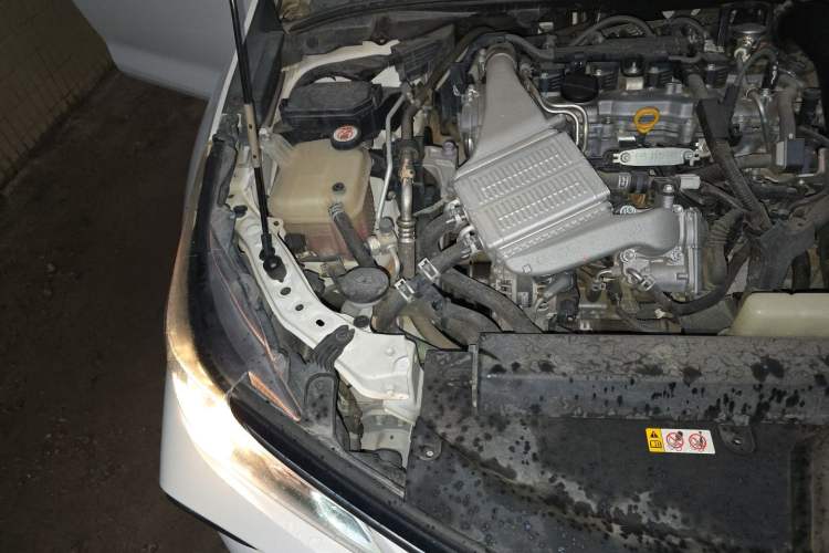 Used Toyota Corolla 2019 1.2T S-CVT GL-i Elite Edition Engine Bay Right