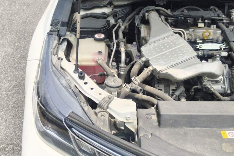 Used Toyota Corolla 2019 1.2T S-CVT GL Pioneer Edition Engine Bay Right
