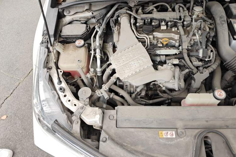 Used Toyota Corolla 2019 1.2T S-CVT GL-i Luxury Edition Engine Bay Right