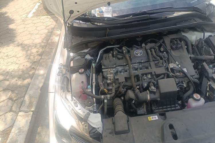 Used Toyota Corolla 2019 Dual-Engine 1.8L E-CVT GL-i Elite Edition Engine Bay Right