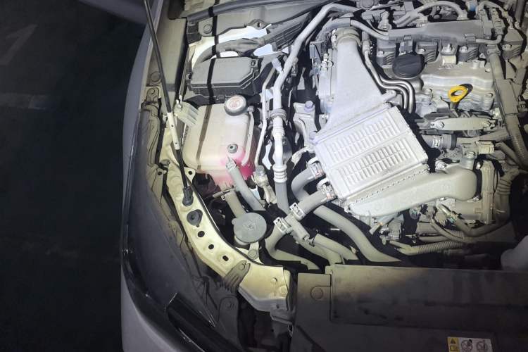 Used Toyota Corolla 2019 1.2T S-CVT GL Pioneer Edition Engine Bay Right