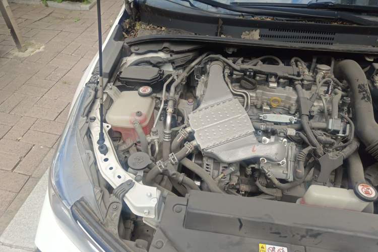 Used Toyota Corolla 2019 1.2T S-CVT GL-i Elite Edition Engine Bay Right