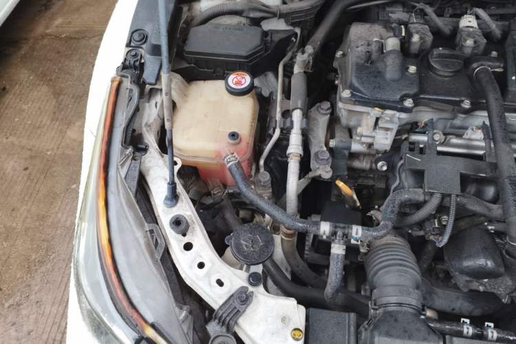Used Toyota Corolla 2019 Dual-Engine 1.8L E-CVT GL-i Elite Edition Engine Bay Right