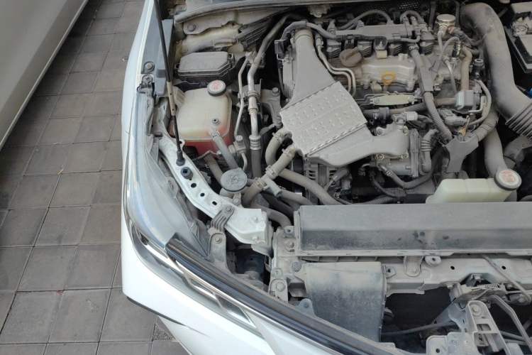 Used Toyota Corolla 2019 1.2T S-CVT GL-i Elite Edition Engine Bay Right