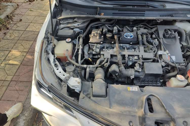 Used Toyota Corolla 2019 Dual-Engine 1.8L E-CVT GL-i Elite Edition Engine Bay Right