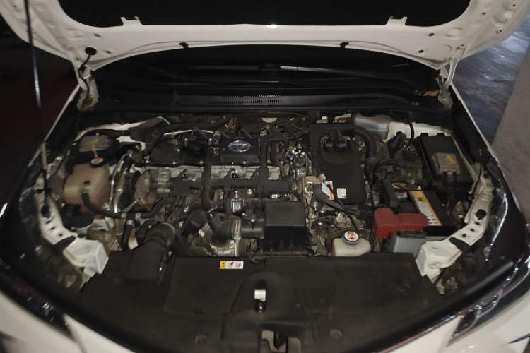 Used Toyota Corolla 2019 Dual-Engine 1.8L E-CVT GL-i Elite Edition Engine Bay
