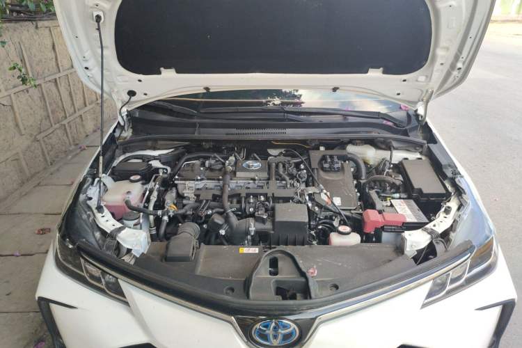 Used Toyota Corolla 2019 Dual-Engine 1.8L E-CVT GL-i Elite Edition Engine Bay