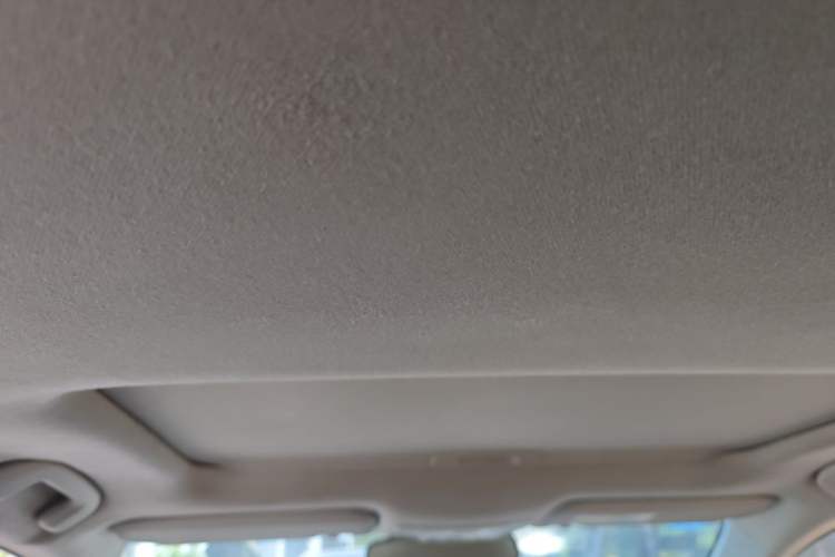 Used Toyota Corolla 2019 Dual-Engine 1.8L E-CVT GL-i Elite Edition Headliner