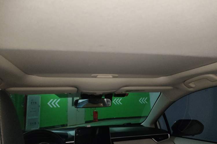 Used Toyota Corolla 2019 1.2T S-CVT GL-i Elite Edition Headliner