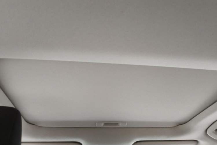 Used Toyota Corolla 2019 1.2T S-CVT GL-i Elite Edition Headliner