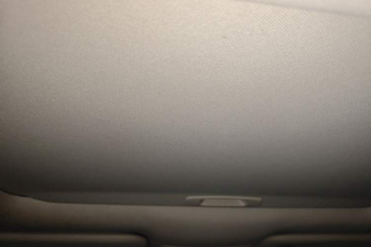 Used Toyota Corolla 2019 1.2T S-CVT GL-i Elite Edition Headliner