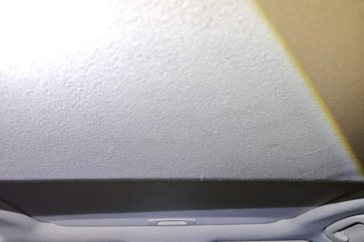 Used Toyota Corolla 2019 1.2T S-CVT GL-i Elite Edition Headliner
