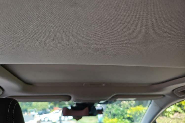 Used Toyota Corolla 2019 Dual-Engine 1.8L E-CVT GL-i Elite Edition Headliner