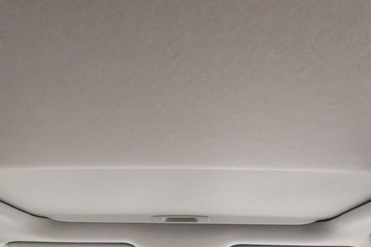 Used Toyota Corolla 2019 1.2T S-CVT GL-i Elite Edition Headliner