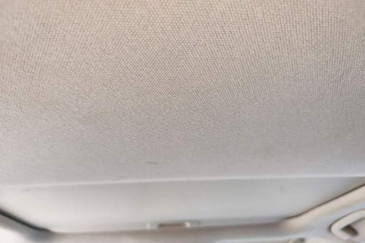 Used Toyota Corolla 2019 Dual-Engine 1.8L E-CVT GL-i Elite Edition Headliner