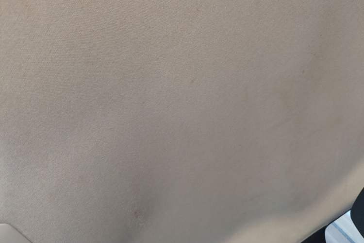 Used Toyota Corolla 2019 1.2T S-CVT GL Pioneer Edition Headliner