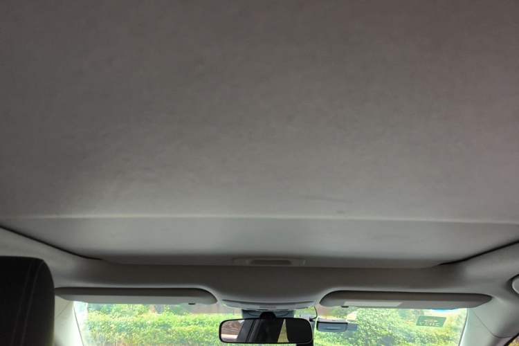 Used Toyota Corolla 2019 1.2T S-CVT GL-i Elite Edition Headliner