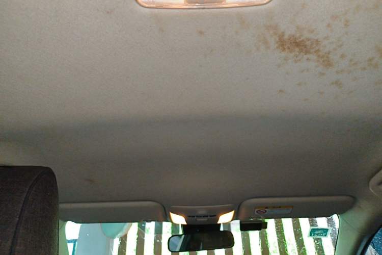 Used Toyota Corolla 2019 1.2T S-CVT GL Pioneer Edition Headliner