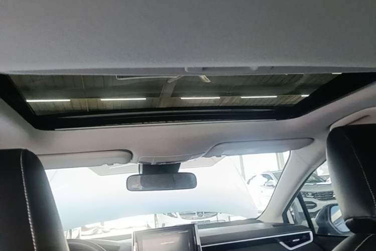 Used Toyota Corolla 2019 1.2T S-CVT GL-i Elite Edition Headliner