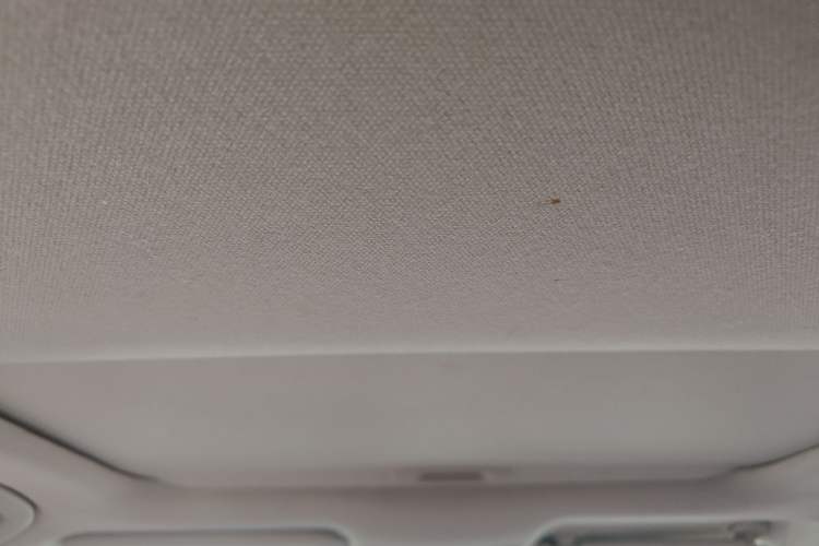 Used Toyota Corolla 2019 Dual-Engine 1.8L E-CVT GL-i Elite Edition Headliner