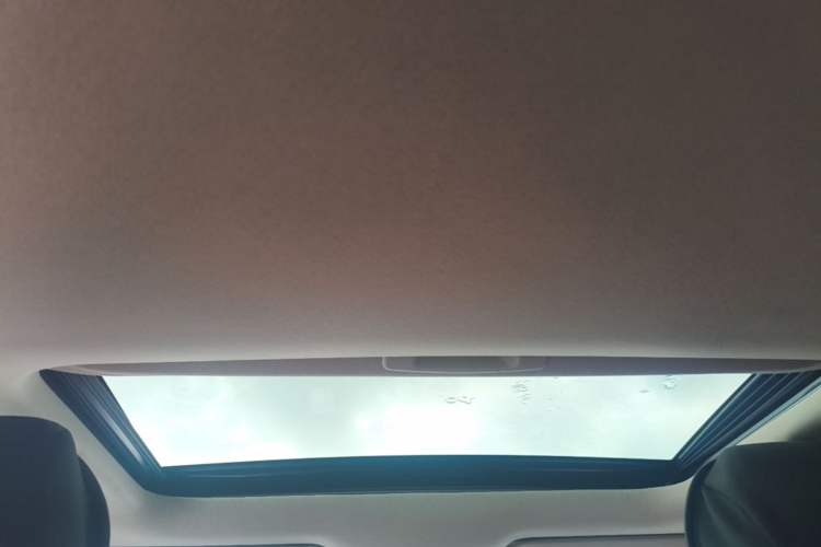 Used Toyota Corolla 2019 1.2T S-CVT GL-i Elite Edition Headliner