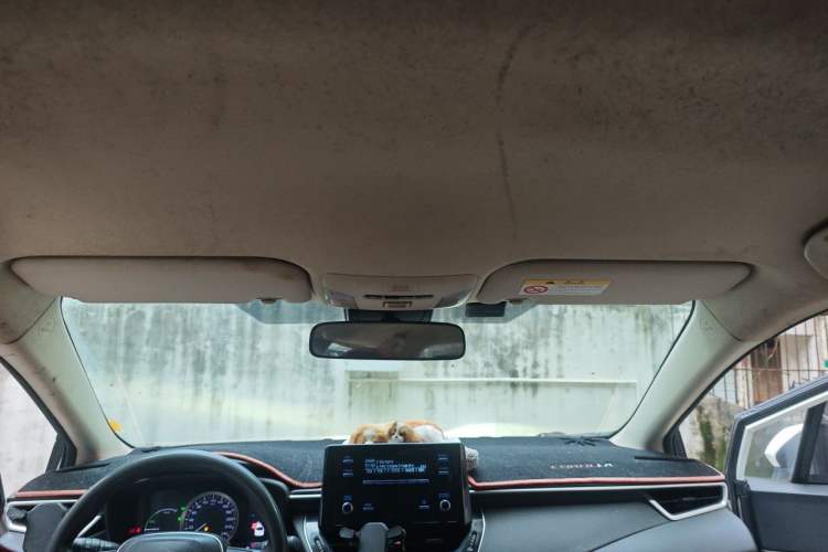Used Toyota Corolla 2019 Dual-Engine 1.8L E-CVT GL-i Pioneer Edition Headliner