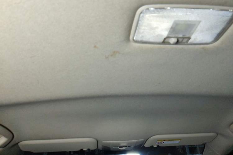 Used Toyota Corolla 2019 Dual-Engine 1.8L E-CVT GL-i Pioneer Edition Headliner
