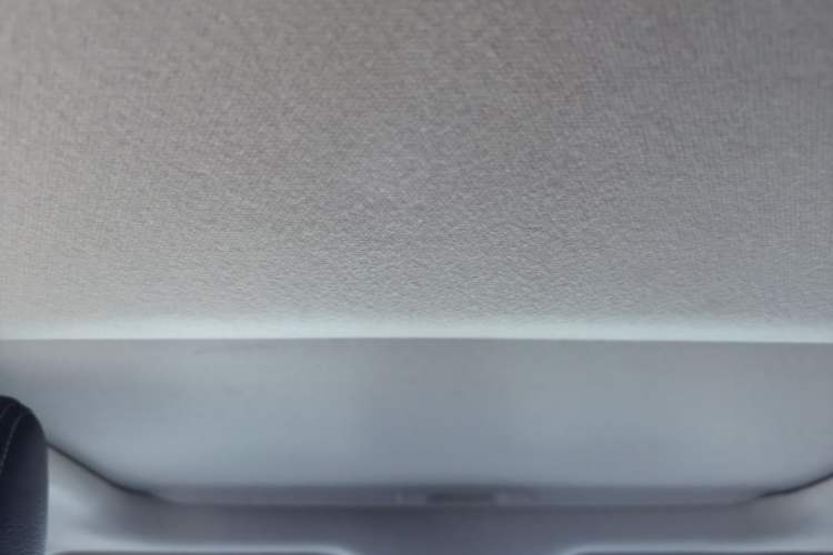 Used Toyota Corolla 2019 1.2T S-CVT GL-i Elite Edition Headliner