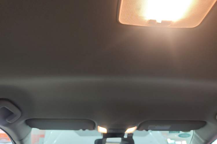 Used Toyota Corolla 2019 1.2T S-CVT GL Pioneer Edition Headliner
