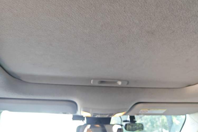 Used Toyota Corolla 2019 Dual-Engine 1.8L E-CVT GL-i Elite Edition Headliner
