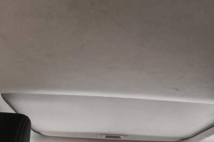 Used Toyota Corolla 2019 1.2T S-CVT GL-i Elite Edition Headliner
