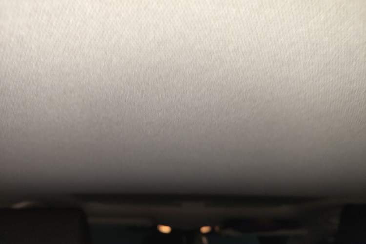 Used Toyota Corolla 2019 1.2T S-CVT GL-i Elite Edition Headliner