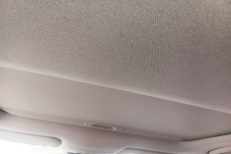 Used Toyota Corolla 2019 Dual-Engine 1.8L E-CVT GL-i Elite Edition Headliner