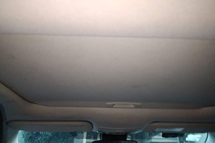 Used Toyota Corolla 2019 Dual-Engine 1.8L E-CVT GL-i Elite Edition Headliner